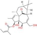 Ingenol 3-Angelate
