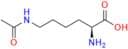 N-ε-Acetyl-l-lysine