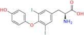 Levothyroxine EP Impurity E