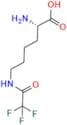 Lisinopril Impurity 13
