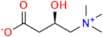 Levocarnitine