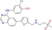 Lapatinib Impurity 1