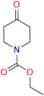 Loratadine EP Impurity H