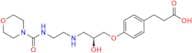 Landiolol Impurity 5