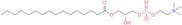 1-Palmitoyl-sn-Glycero-3-Phosphocholine