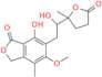 Mycophenolic Hydroxy Lactone