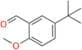 Maropitant Impurity 4