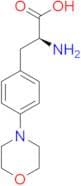Melphalan EP Impurity B