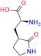 Nirmatrelvir Impurity 9