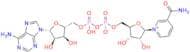 β-Nicotinamide Adenine Dinucleotide
