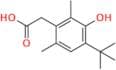 Oxymetazoline EP Impurity D
