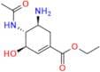 Oseltamivir Impurity 69