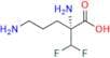 (R)-Eflornithine