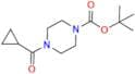 Olaparib Impurity 82