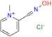 Pralidoxime Chloride