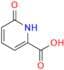 6-Hydroxy-2-Pyridinecarboxylic Acid