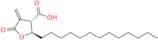 ent-Protolichesterinic Acid