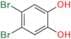 Pinaverium Impurity 8