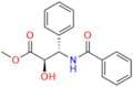 Paclitaxel Impurity 54