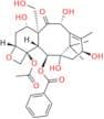 19-Hydroxy-10-Deacetylbaccatin III