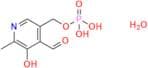 Pyridoxal 5-phosphate monohydrate