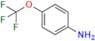 Riluzole USP Related Compound A