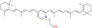 Pyridinium Bisretinoid A2E