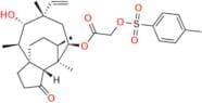 Tiamulin EP Impurity L