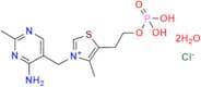 Thiamine Monophosphate Chloride Dihydrate