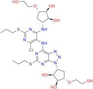 Ticagrelor Pyrimidine Dimer