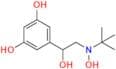 Terbutaline Impurity 44