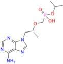 Isopropyl Tenofovir