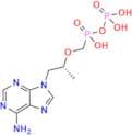Tenofovir monophosphate