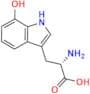 7-Hydroxy-L-Tryptophan