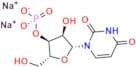 Uridine 3’-Monophosphate Disodium Salt