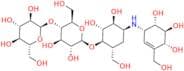 Validamycin E