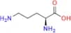 Arginine EP Impurity C