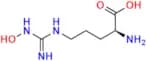 L-Hydroxyarginine