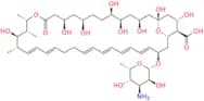 Amphotericin B EP Impurity A