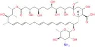 Amphotericin B EP Impurity B