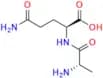 L-Alanyl-L-Glutamine
