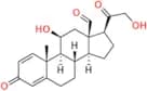 1-Dehydroaldosterone