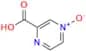 Acipimox Impurity 7