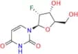 Azvudine Impurity 1