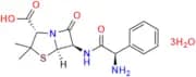 Ampicillin Trihydrate