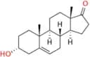 Dehydro Androsterone