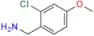 Avanafil Impurity 33