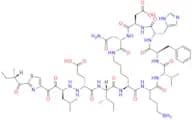 Bacitracin EP Impurity G