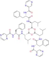 Bortezomib Impurity 10