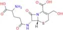 Cefazolin Impurity 4